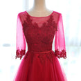 Neck Half Sleeve Transparent Lace Dress