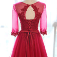 Neck Half Sleeve Transparent Lace Dress