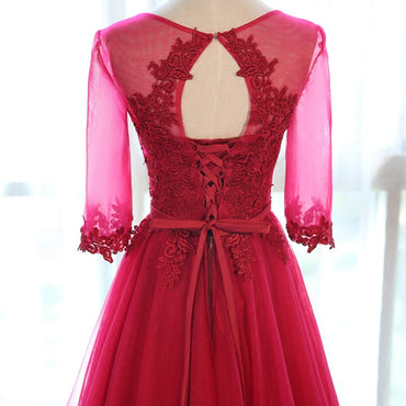 Neck Half Sleeve Transparent Lace Dress