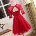 Neck Half Sleeve Transparent Lace Dress