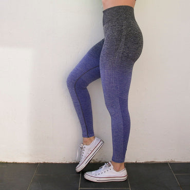 Ombre Seamless Leggings High Waisted Yoga