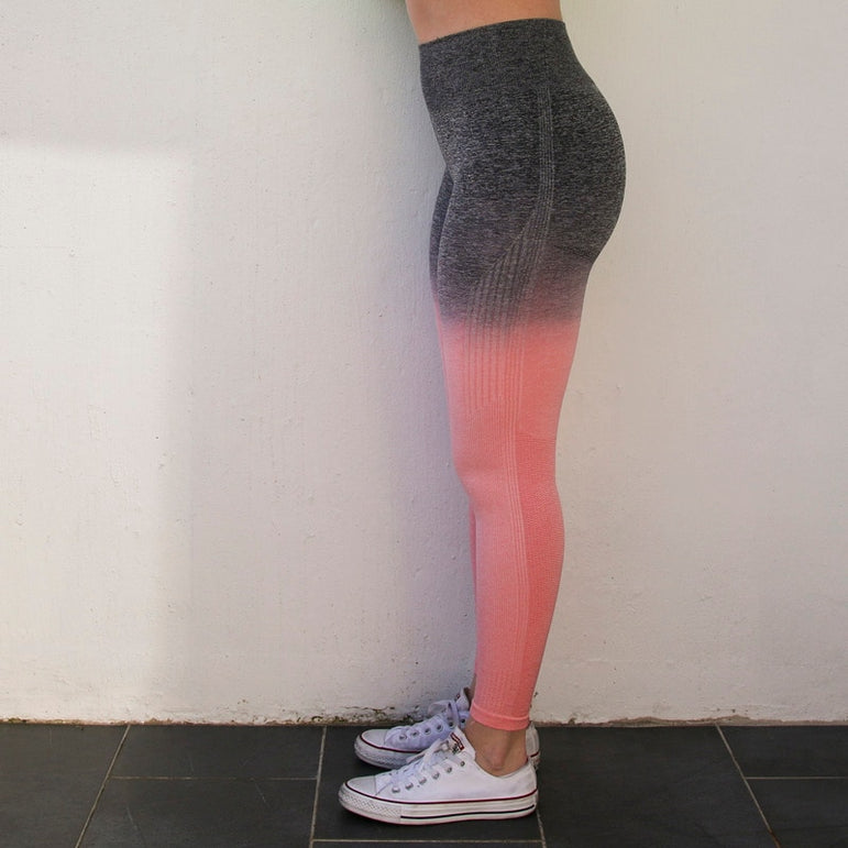 Ombre Seamless Leggings High Waisted Yoga