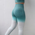 Ombre Seamless Leggings High Waisted Yoga