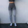 Ombre Seamless Leggings High Waisted Yoga