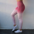 Ombre Seamless Leggings High Waisted Yoga