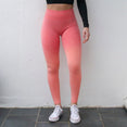 Ombre Seamless Leggings High Waisted Yoga