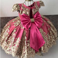 Girls Dress Elegant New Year Princess