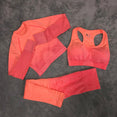 Yoga Set 3 Piece Women's Seamless