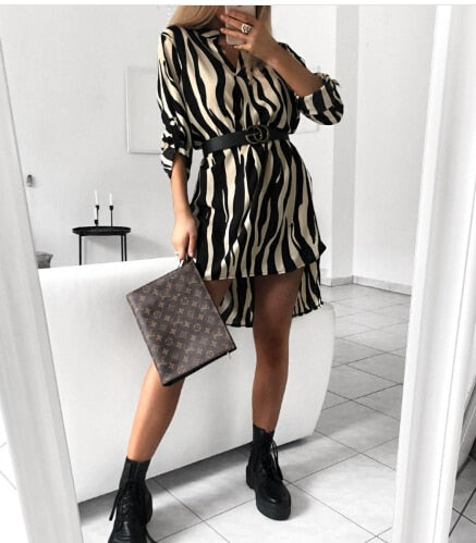 Leopard Snake Print Striped Long Sleeve Dress