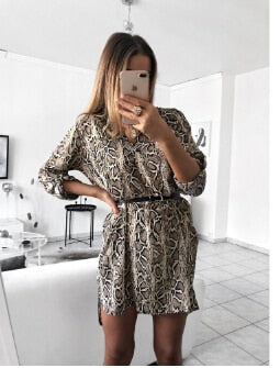 Leopard Snake Print Striped Long Sleeve Dress