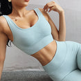 Seamless Fitness Women Yoga Suit