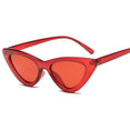 2020 fashion sunglasses cat eye